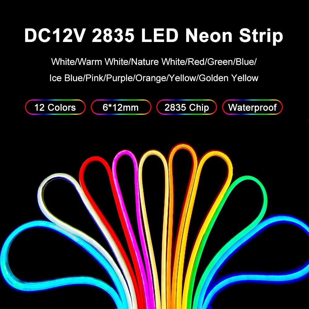 Neon Flex 12V Red Pink Orange Ice Blue 6*12mm 5m/Roll Silicone LED Neon  Light Strip Rope for DIY Christmas Lights Neon LED Strip - China LED Neon  Light, Neon LED Strip